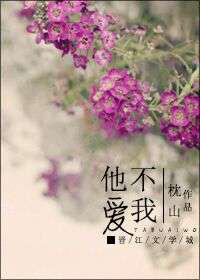他不爱我