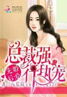 先婚后爱：总裁强行执宠