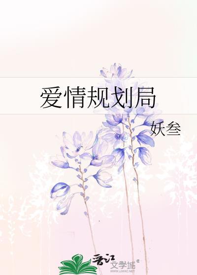 爱情规划局