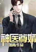 神医尊婿