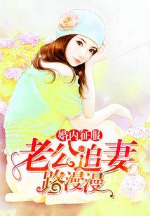 婚内征服：老公追妻路漫漫