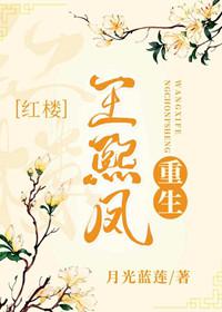 王熙凤重生