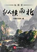 纵横家纵横南北