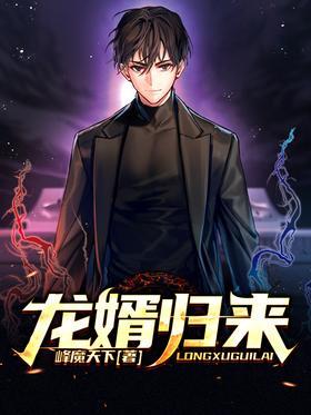 龙婿归来