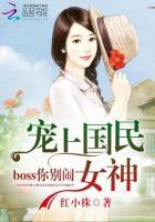 宠上国民女神，boss你别闹