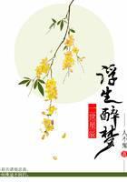浮生醉梦 一世星辰