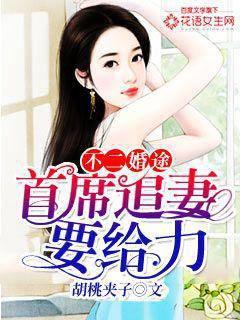 不二婚途：首席追妻要给力