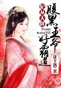 妃从天降：腹黑王爷好霸道