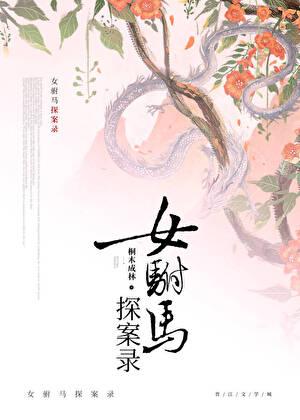 女驸马探案录