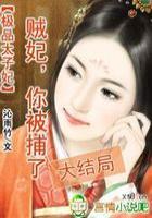 极品太子妃：你被捕了