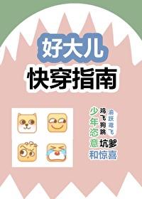 好大儿快穿指南