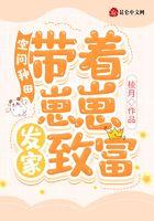 空间种田：带着崽崽发家致富