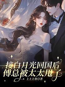 接白月光回国后，傅总被太太甩了