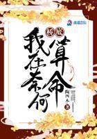 我在奈何桥底算命