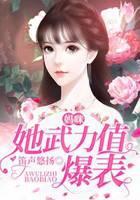 妈咪她武力值爆表