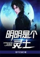明明是个灵士