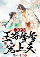 二嫁医妃：王爷爹爹宠上天