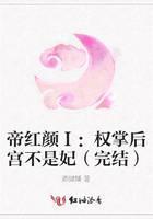 帝红颜Ⅰ：权掌后宫不是妃
