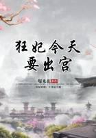 狂妃今天要出宫