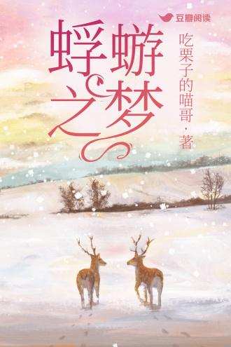 蜉蝣之梦