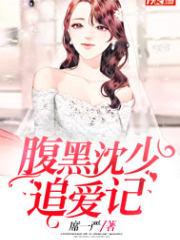 腹黑沈少追爱记