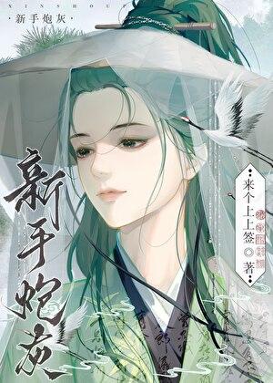 新手炮灰在线拐走女主