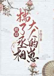 被迫揣了丞相大人的崽