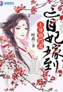 盲妃嫁到王爷别挡道