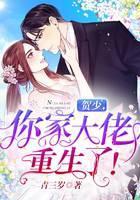 贺少，你家大佬重生了！