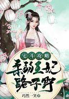 宅斗攻略：柔弱王妃路子野