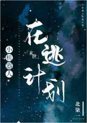 小机器人在逃计划