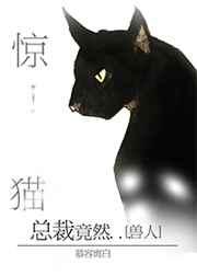 惊！野猫总裁竟然…