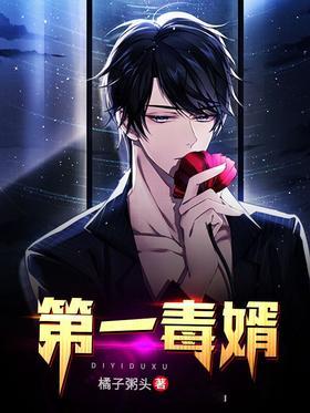 第一毒婿