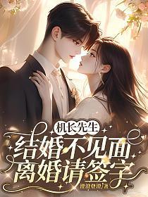 机长先生，结婚不见面，离婚请签字