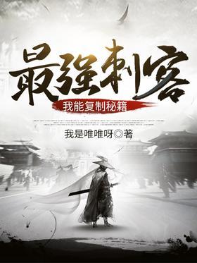 最强刺客：我能复制秘籍