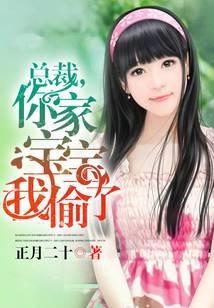 总裁，你家宝宝我偷了