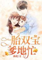 一胎双宝爹地忙