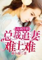 高调冷婚，总裁追妻难上难