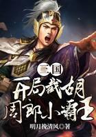 三国：开局截胡周郎小霸王