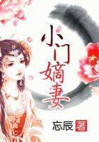 小门嫡妻