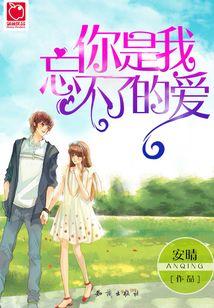 你是我忘不了的爱