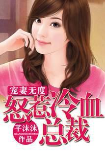 宠妻无度：怒惹冷血总裁