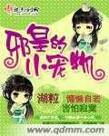 邪皇的小宠物