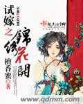 试嫁之锦绣花开