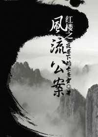 红楼之风流公案