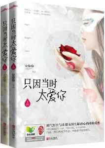 只因当时太爱你／军婚也缠绵