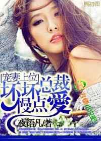 宠妻上位，坏坏总裁慢点爱