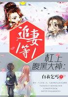 杠上腹黑大神：追妻1等1