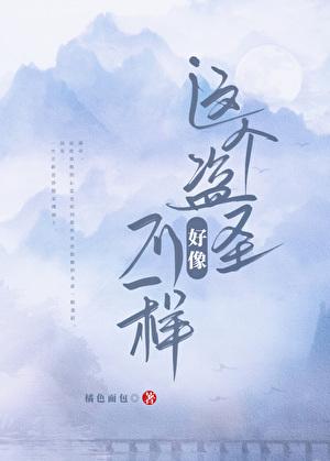 这个盗圣好像不一样