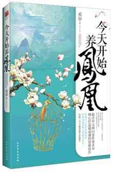 今天开始养凤凰